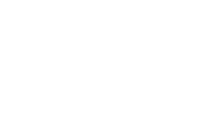 Castor Components